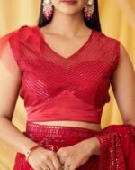 Women Embellished Saree with Lace Border - Image 3